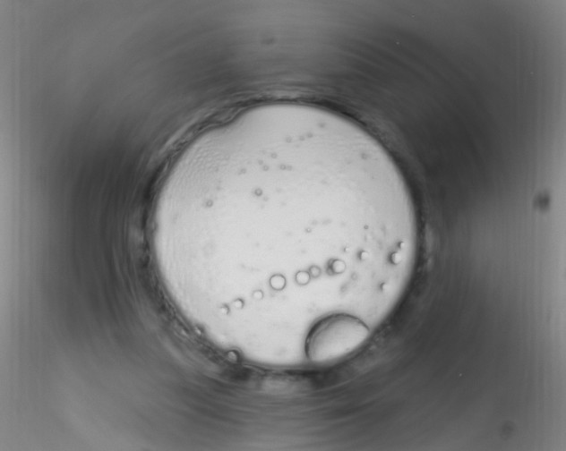 X0000115220251200911251537