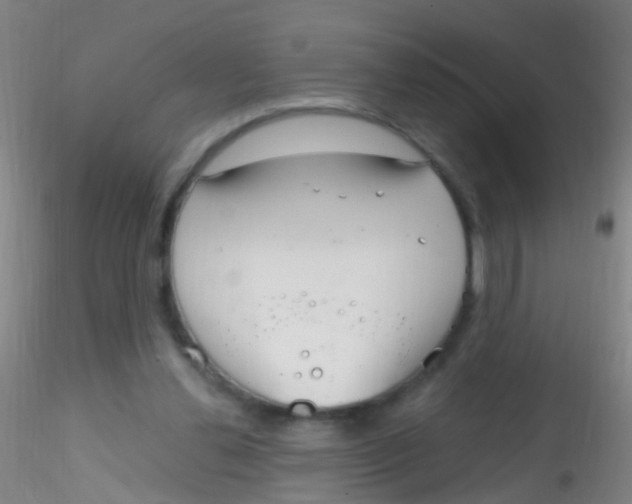 X0000115220252200911251537