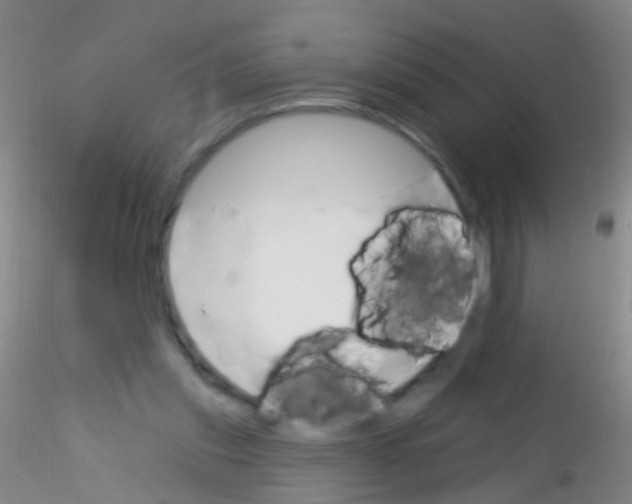 X0000115220253200911251537