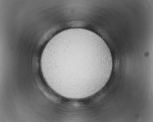 X0000115220254200911251537