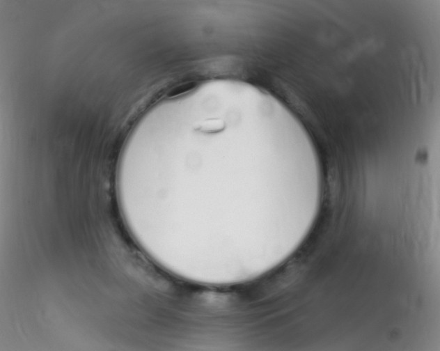 X0000115220255200911251538