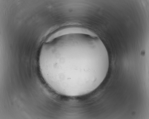 X0000115220256200911251538