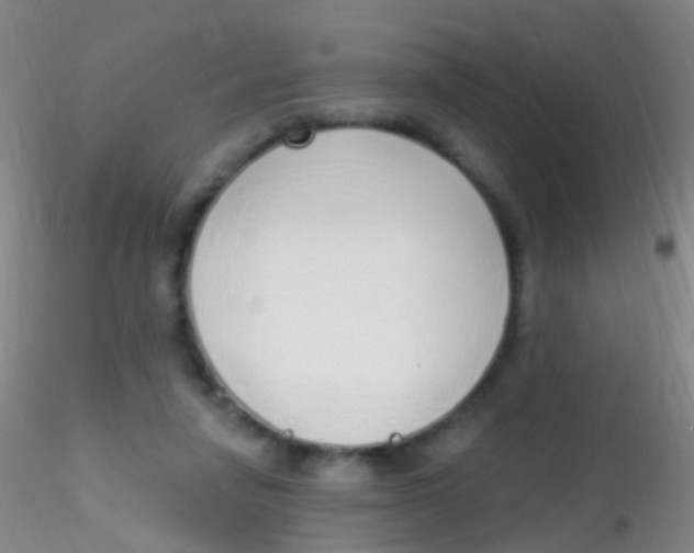 X0000115220258200911251538