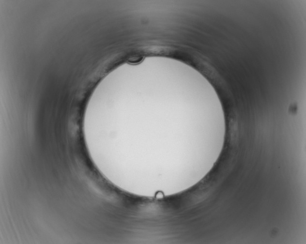 X0000115220259200911251538