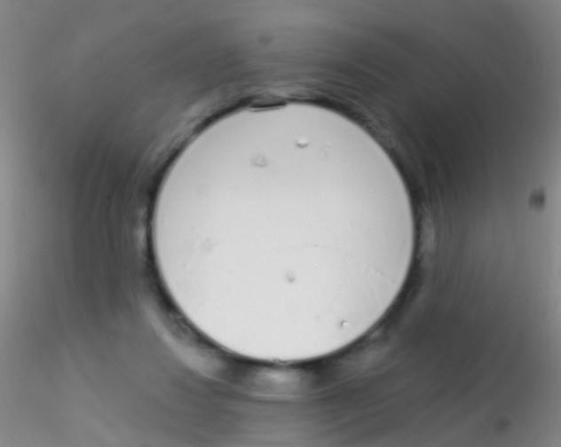 X0000115220260200911251538
