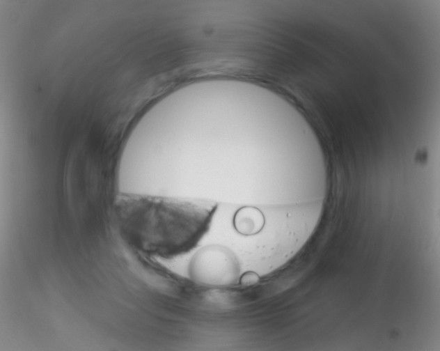 X0000115220261200911251538