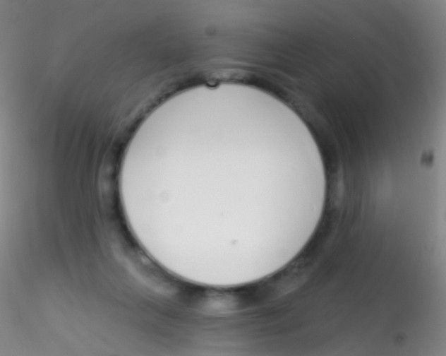 X0000115220263200911251538