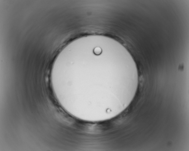 X0000115220264200911251538