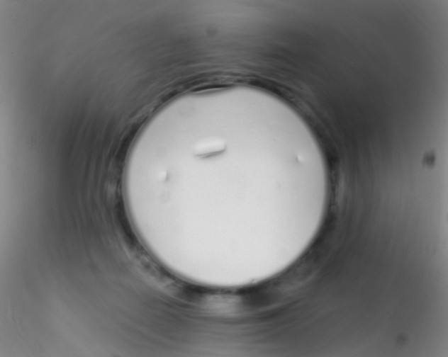 X0000115220266200911251538