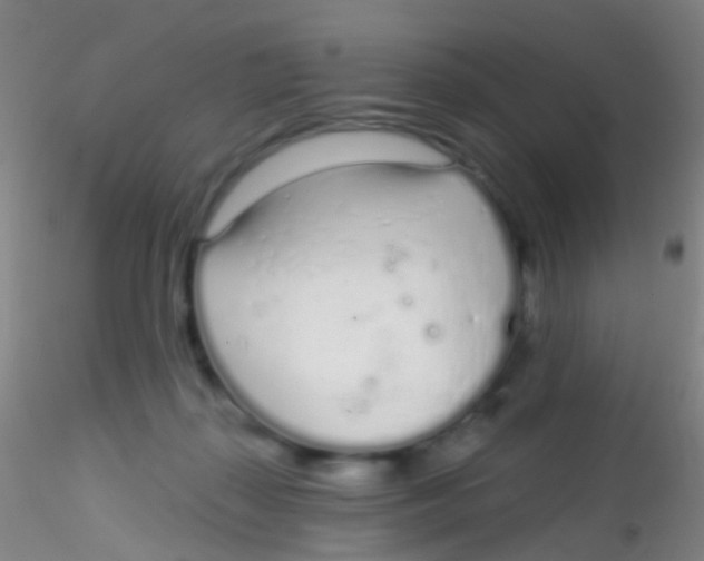X0000115220267200911251538