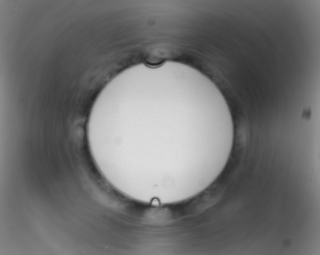 X0000115220271200911251538