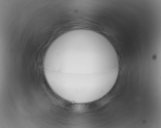 X0000115220273200911251538