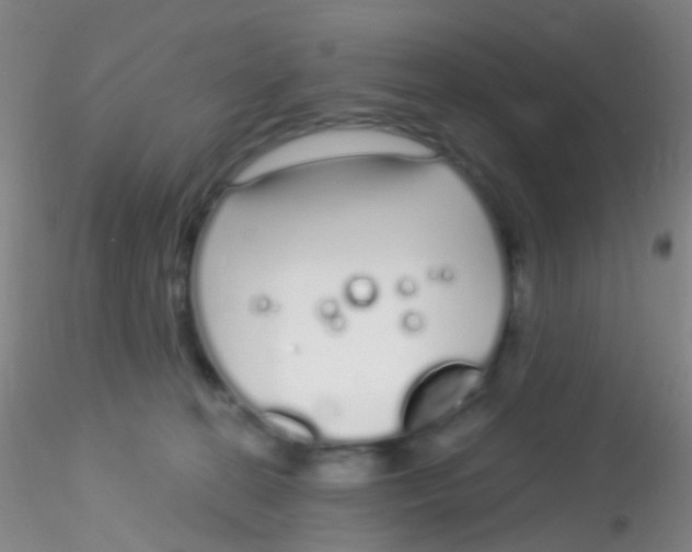 X0000115220274200911251538