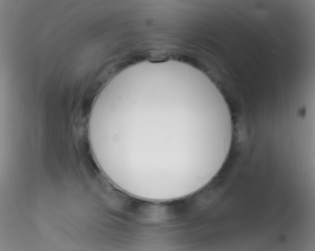 X0000115220276200911251538