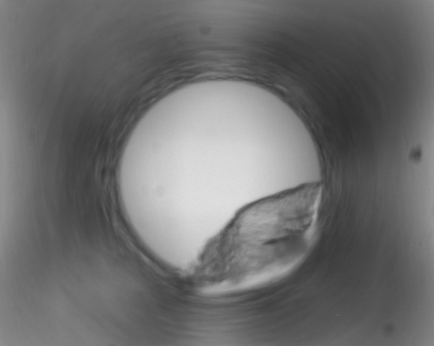 X0000115220277200911251538