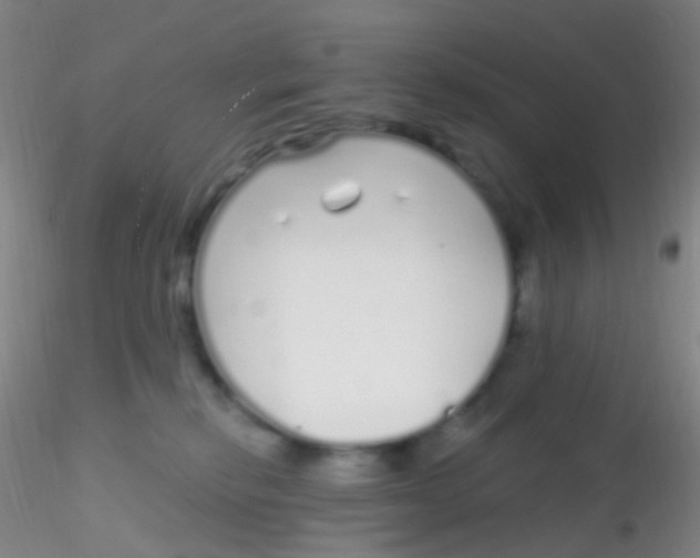 X0000115220278200911251538