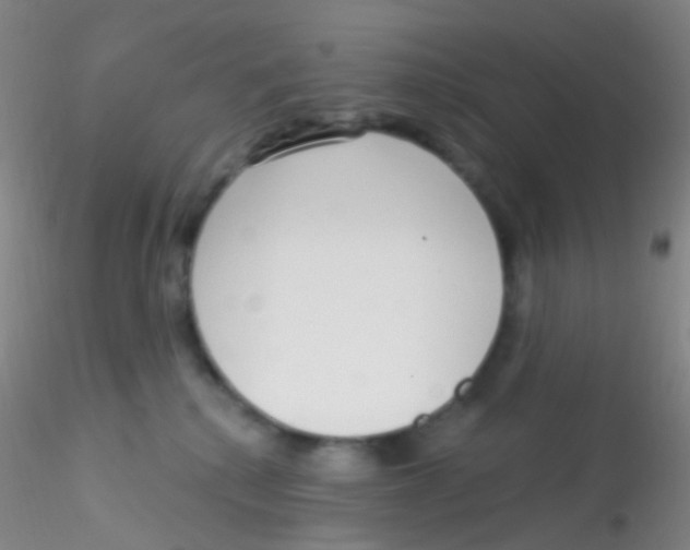 X0000115220280200911251538