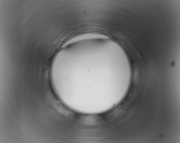X0000115220282200911251538