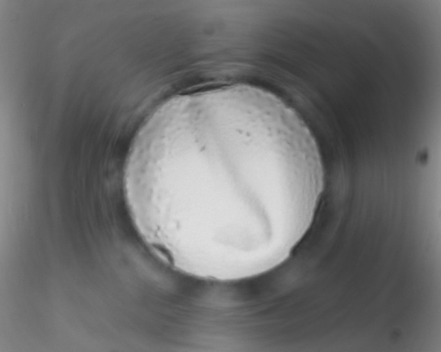 X0000115220284200911251538