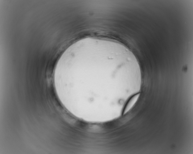 X0000115220285200911251538
