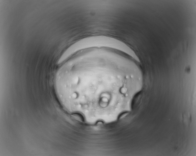 X0000115220286200911251538