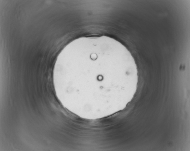 X0000115220288200911251538