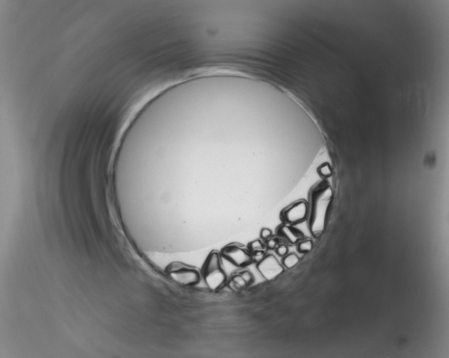 X0000115220289200911251537