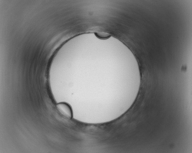X0000115220290200911251537