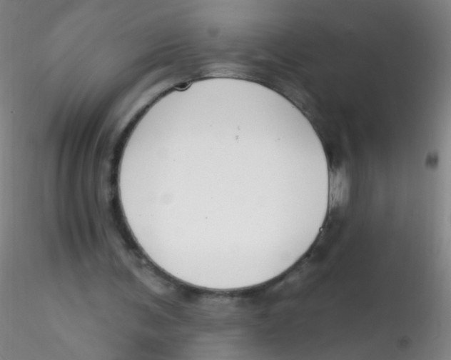 X0000115220291200911251537
