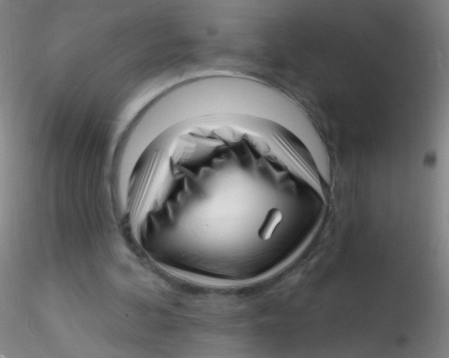 X0000115220292200911251537