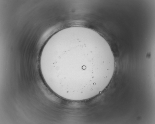 X0000115220293200911251537