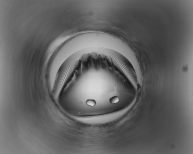 X0000115220294200911251537