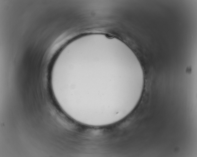 X0000115220295200911251537