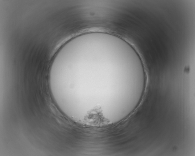 X0000115220297200911251537