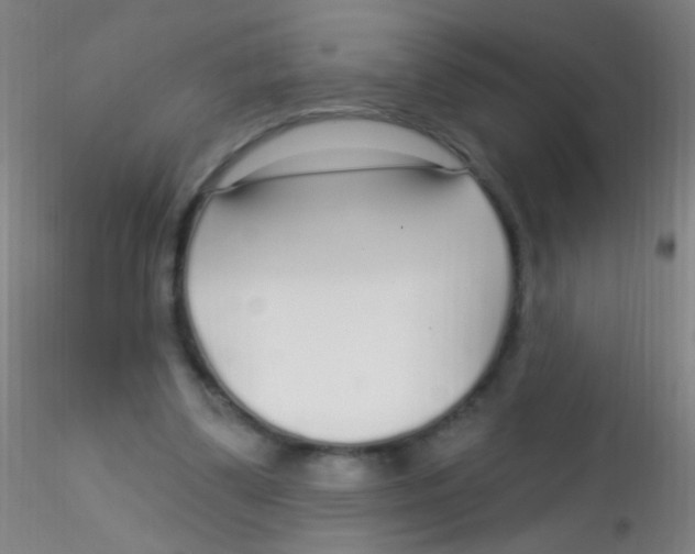 X0000115220299200911251537