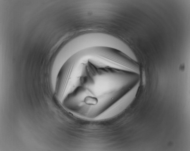 X0000115220300200911251537