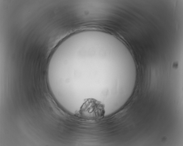 X0000115220301200911251537