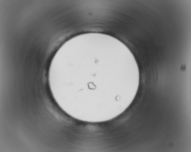 X0000115220302200911251537
