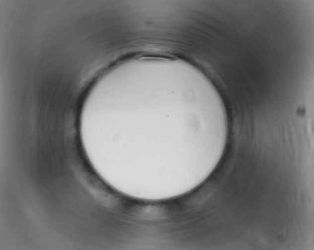 X0000115220303200911251537
