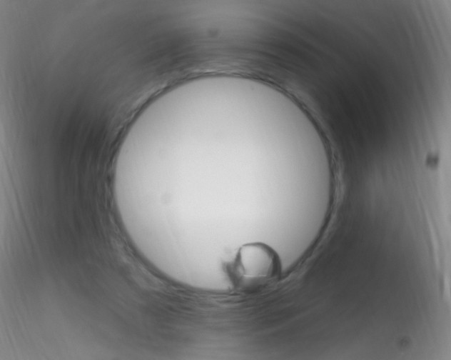 X0000115220305200911251537