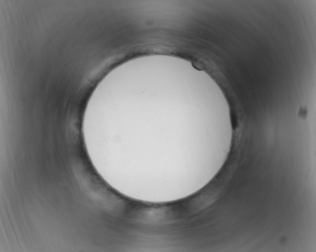 X0000115220306200911251537