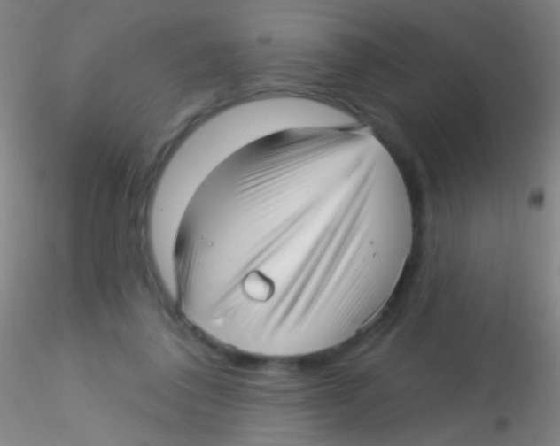 X0000115220308200911251537