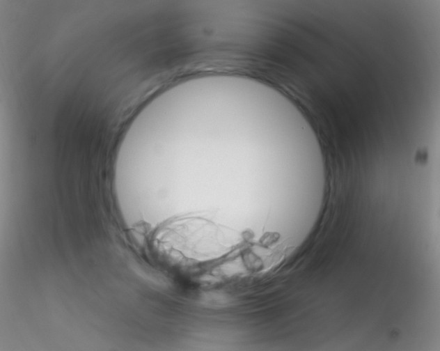 X0000115220309200911251537