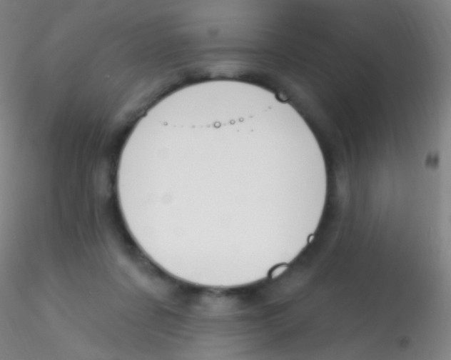 X0000115220311200911251537