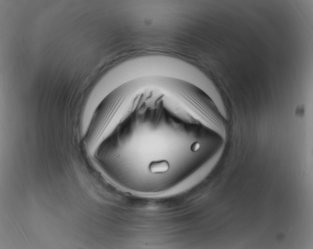 X0000115220312200911251537