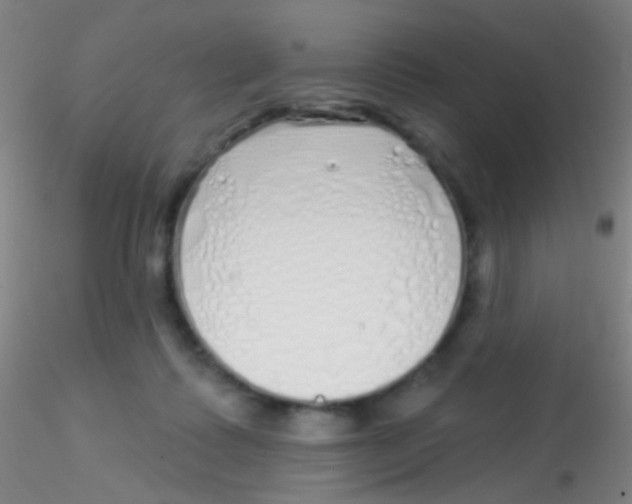 X0000115220315200911251537