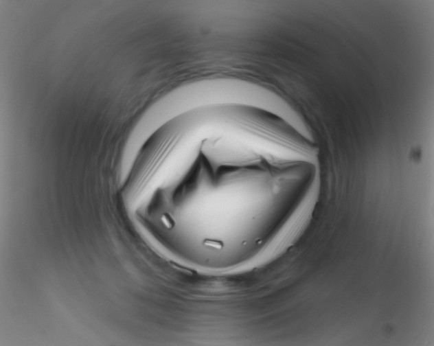 X0000115220316200911251537