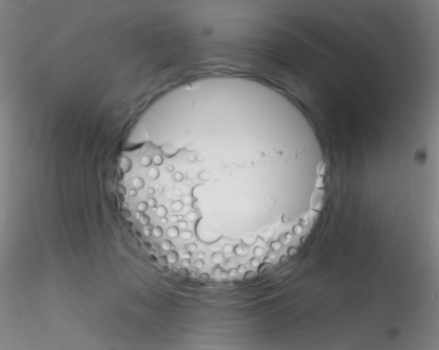 X0000115220317200911251537
