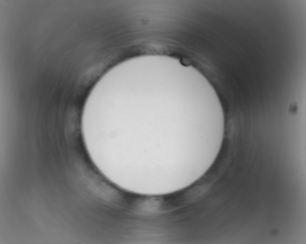 X0000115220318200911251537