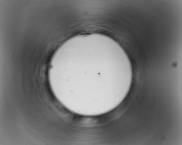 X0000115220319200911251537